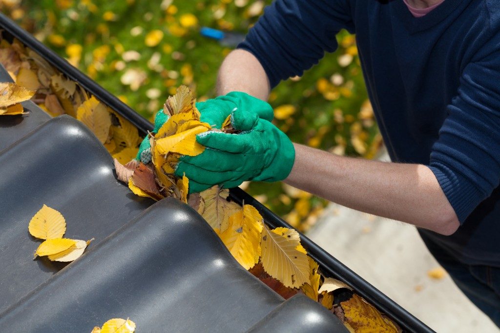 man removing leaves from the gutter