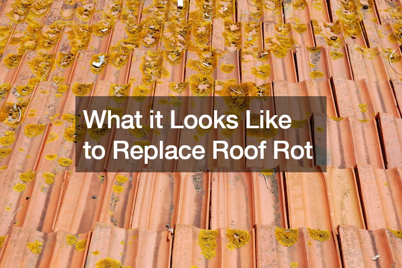 What it Looks Like to Replace Roof Rot